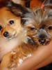 Picture_285.jpg