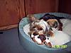 Picture_543.jpg