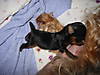Picture_608.jpg