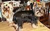 Picture_680.jpg