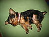 Picture_775.jpg
