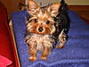 Picture_797.jpg