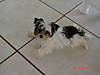 Piper_6-15-06_012.jpg