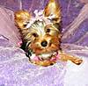Prissy_Krissy_058.JPG
