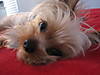 Riley_020.jpg