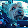 Riley_and_car_seat2_edited.jpg
