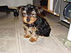 Roscoe_Ray_012.jpg