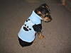 Rottie1206_020.jpg