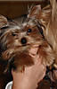 Ruthie_afterbath.jpg