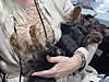 Samson_s_Photos_-_13.jpg
