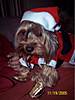 Santa2.jpg