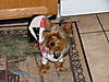 SummerFall2005_132.jpg