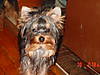 TANNER_023.JPG