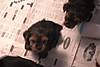 Tias_Babies_1121.jpg