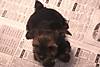 Tias_Babies_116.jpg