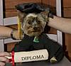 Toby_Graduation_2.jpg