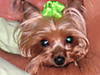 Zoe_s_5th_b_day_2007_006.jpg
