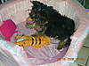 Zoe_s_first_day_home_001.jpg