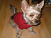 alfie_again_021.jpg