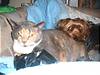 b05Picture_005.jpg