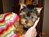 babys_1st_pic.JPG