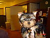 babys_1st_pic_2.jpg
