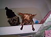 bath_time1.JPG