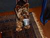 bear_and_cup.jpg