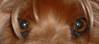 broenieaeyes1.jpg