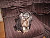 bucky_summer_2007_002.jpg