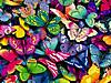 butterflies_collection_1A.jpg