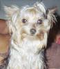 clip_image002.jpg
