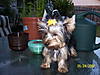 daisy_bella_16.jpg