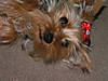 halloween_2006_034.jpg