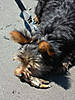 july_2008_045.jpg