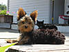 july_2008_067.jpg