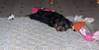 kizzy_006.jpg