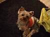 lola_001.jpg