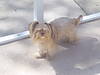 mandys_pics_656.jpg