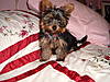 micky_s_file_010.jpg