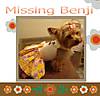 missing_benji.jpg