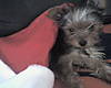 mom_pics_051.jpg