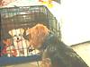 pictures_012.jpg
