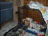 pictures_013.jpg
