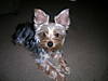 pixieandzoe_022.jpg