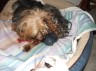 s_pics_004_Thumbnail_Web_view.jpg