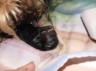 s_pics_009_Thumbnail_Web_view.jpg