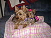shylah_066.jpg