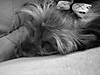 sleeping_bw.jpg