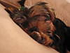sleepy_maggie.jpg